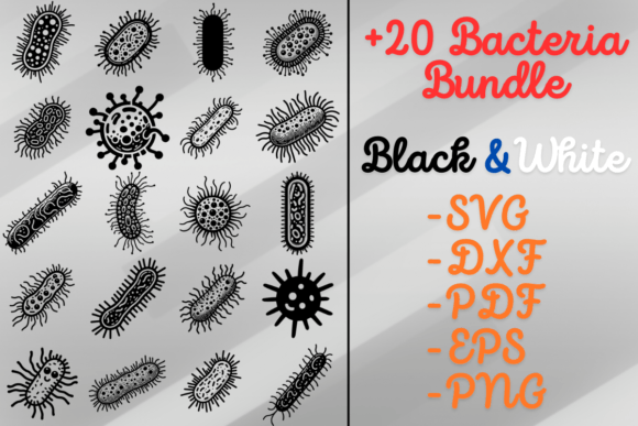 Bacteria SVG Bundle for Science-Inspired Designs